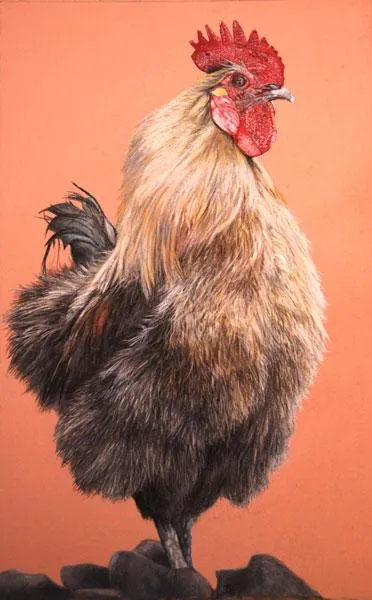 Stray Dog and Cockerel