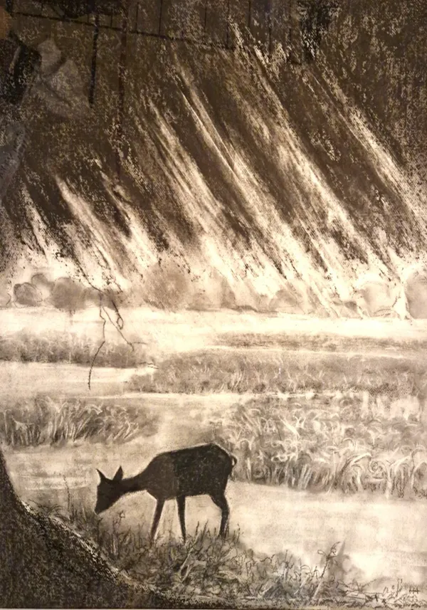 Charcoal deer